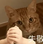 流言板]霍姆斯挥肘将奥萨尔-汤普森打翻在地二级恶犯被罚出场(图2)