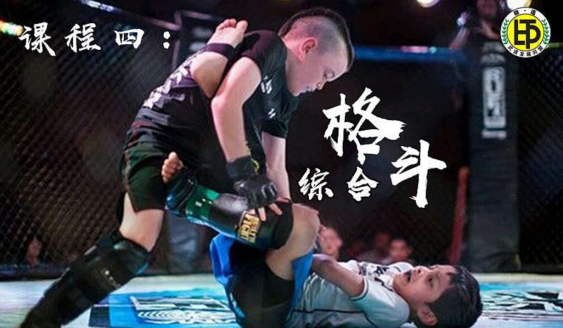 000项目介绍综合格斗
