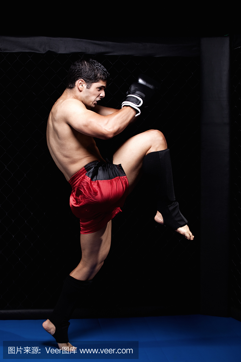mma综合格斗术是什么