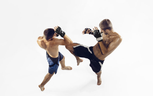男女摔跤现场 综合格斗 UFC格斗赛