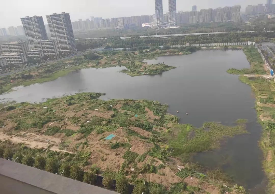 重磅！合肥一烂尾楼要复活了！(图10)