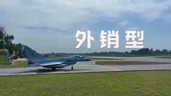 央视透视印巴空战 歼-10CE大放异彩(图5)