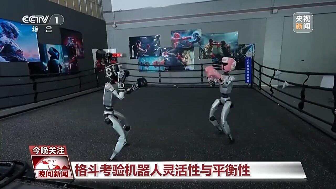 机器人在格斗大赛“打裁判”还会击倒对手后拍挑衅(图2)
