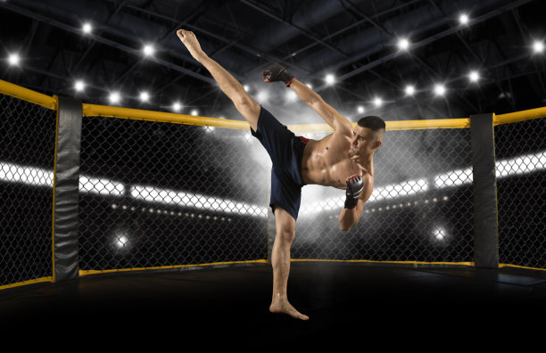 UFC与Meta达成数百万美元赞助协议揭示扎克伯格的拳击热情(图1)