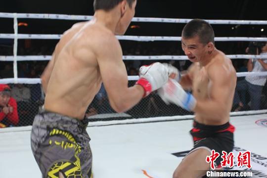 综合格斗亚锦赛中国3金1银4铜 斩获历史最佳战绩(图1)