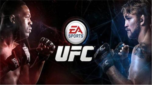 ufc终极格斗冠军赛(图1)