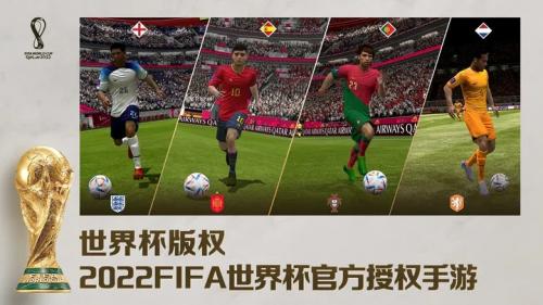 fifa足球世界体验服(图3)