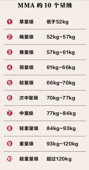 封面故事MMA赛事介绍(图1)