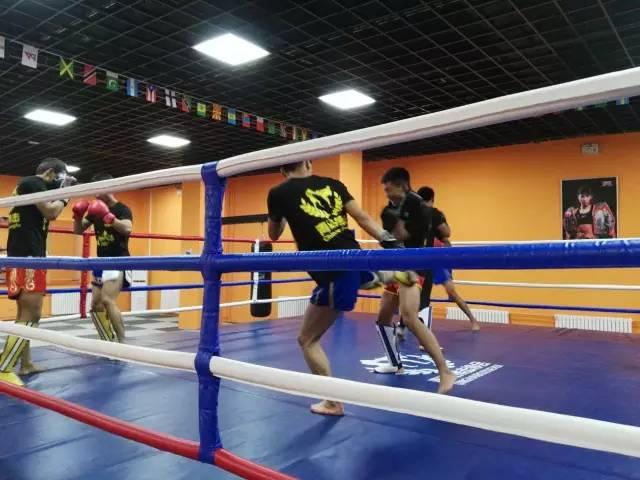 “钢铁拳手”的擂台法则：三局定胜负10秒站不起来就KO(图1)