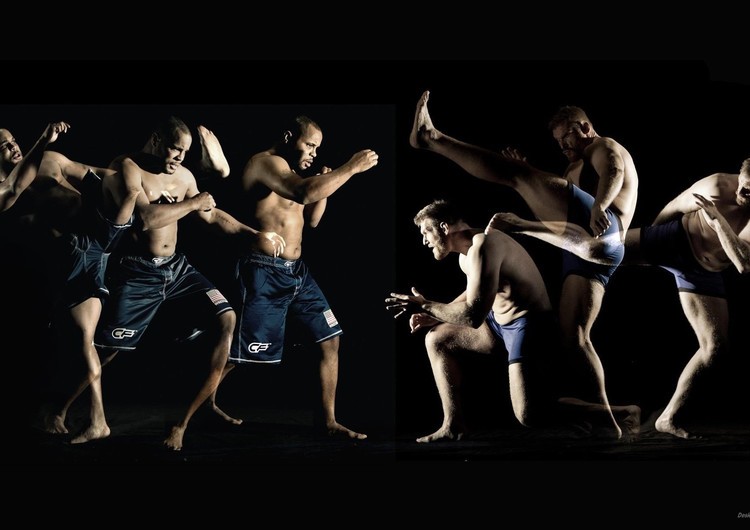 综合体育_金羊网