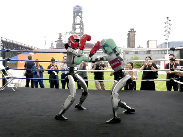 2025中国服贸会开幕