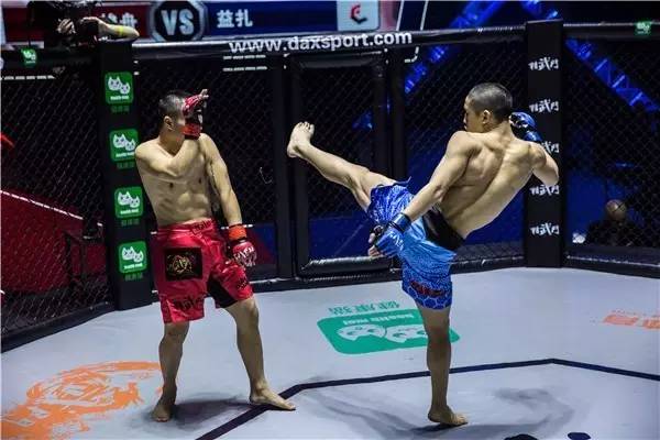 特朗普宣布明年6月14日在白宫办格斗冠军赛