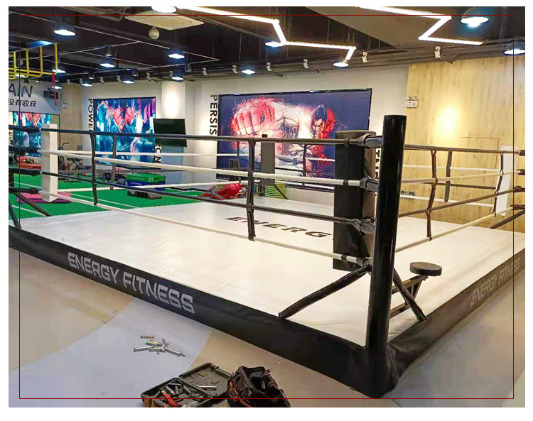 阿纳托利·马雷欣：“第二个菲多将降临日本赛场！”