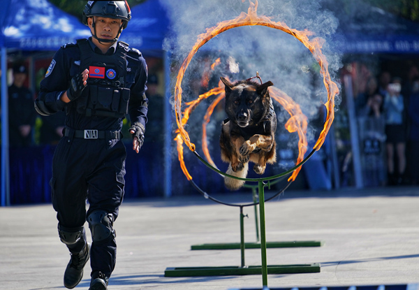 防城港市反恐怖防偷渡宣传教育活动启动