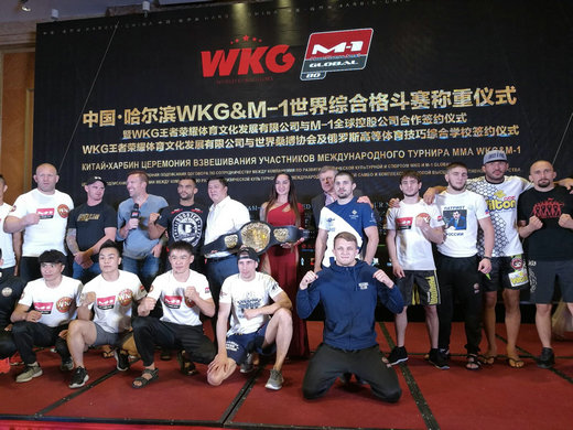 迈克尔·佩奇：独特风格在UFC遭遇瓶颈挑战帕特森的决心与焦虑