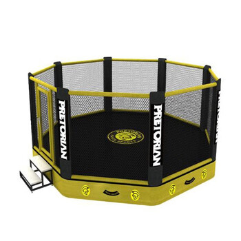 张伟丽回河北老家创办综合格斗赛