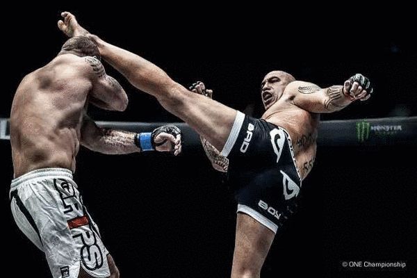 中国最帅拳王第三次登上邮票！王延龙：弘扬中国功夫是毕生使命